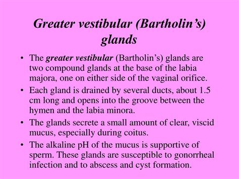 Image result for Vestibular Function