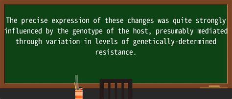 Precise Definition 的图像结果