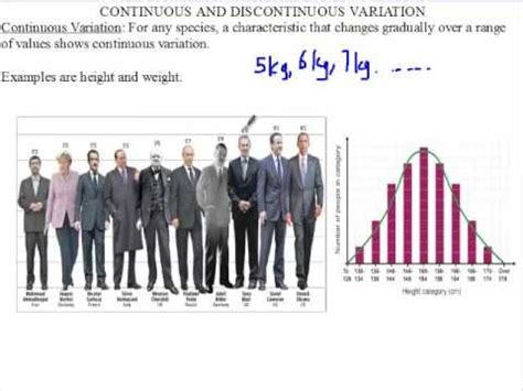 Image result for Continuous Variation Examples in Humans