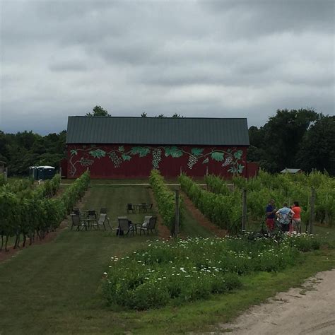 ROSEDALE FARMS & VINEYARDS Guide (2026) All You Need to Know BEFORE You ...