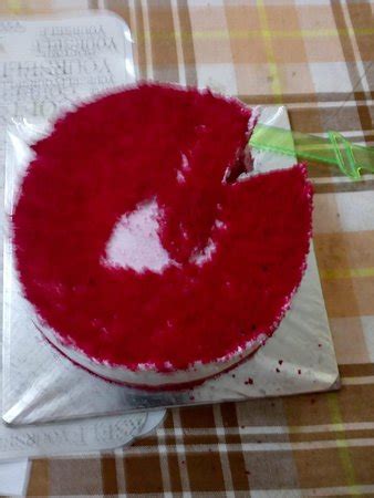 Ferns & Petals IS A FRAUD/SCAM COMPANY - Reviews, Photos - Ferns N ...