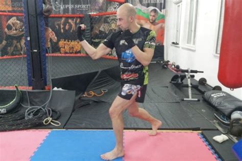 Boxing Tutorial 的图像结果