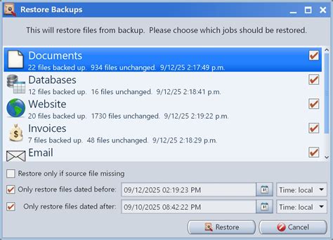 Mirror Backup Software 的图像结果
