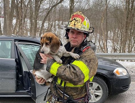 Firefighters rescue Lester the beagle from burning Madison County home ...