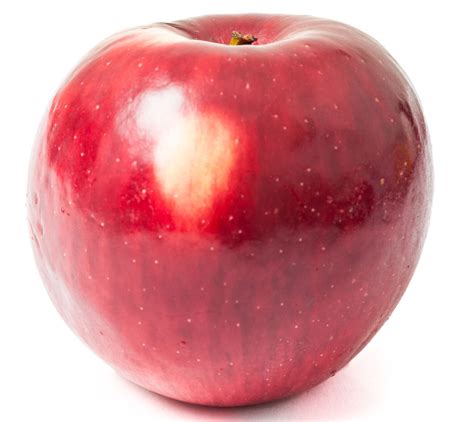 Image result for Apple System.Data