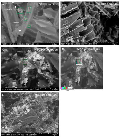 Removal of Co-Occurring Microplastics and Metals in an Aqueous System ...