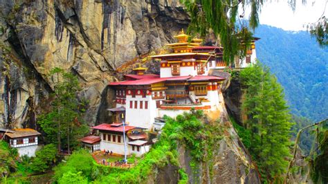 Image result for Bhutan Python Coders