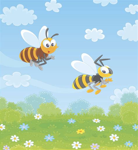 野花蜜蜂背景图片_野花蜜蜂背景素材图片_千库网
