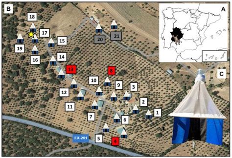 An Integrated Pest Management Strategy Approach for the Management of ...