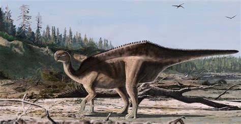 New sail-backed dinosaur species unearthed on the Isle of Wight | Natural History Museum