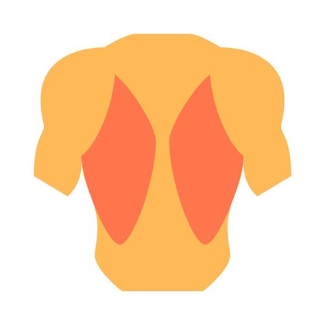 Iconos, Logos, Símbolos de Músculos de la espalda - Descarga Gratuita PNG, SVG