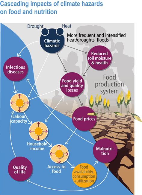 Chapter 5: Food, Fibre and Other Ecosystem Products | Climate Change 2022: Impacts, Adaptation ...