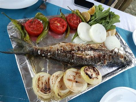 ASSOS KOTTI MARGOT HOTEL (Ayvacik, Canakkale Province, Turkiye ...