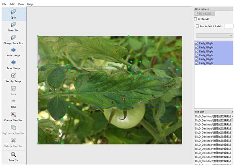 BED-YOLO: An Enhanced YOLOv10n-Based Tomato Leaf Disease Detection ...
