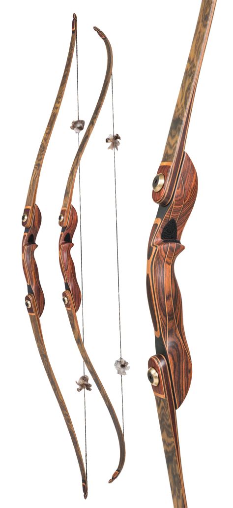 Recurve Bow Upgrades at Martha Brugger blog