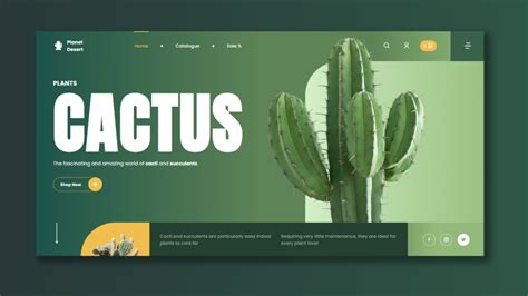 Image result for Creative Web Page Using HTML/CSS