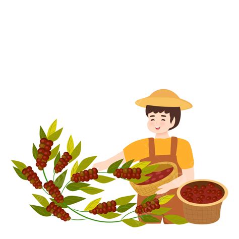 Cherry Picking Clipart at Harrison Humphery blog