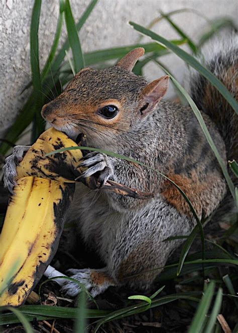 Image result for Quest Ce Que La Radioactivite