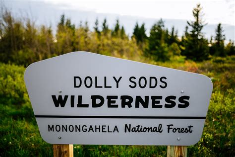 Dolly Sods Elopement Guide - Updated for 2026! - The Oberports