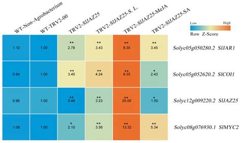 Genome-Wide Identification, Characterization and Expression Analysis of ...