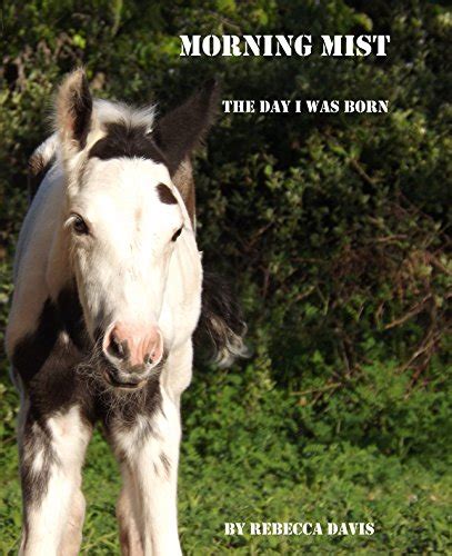 MORNING MIST: THE DAY I WAS BORN eBook : Davis, S: Amazon.in: Kindle Store