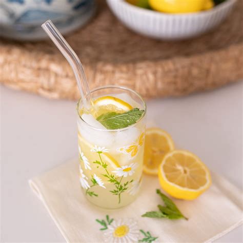 Freshly Squeezed Homemade Lemonade For One - Ashley Brooke
