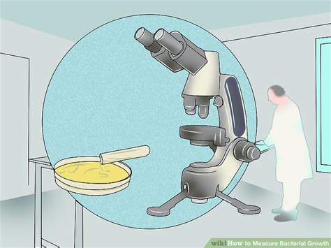 Image result for How to Do Microbial Growth Curves Using Spectrophotometer