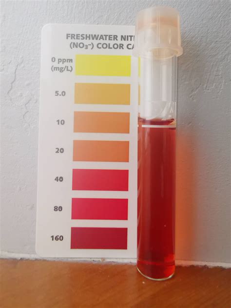 Image result for API Nitrate Test