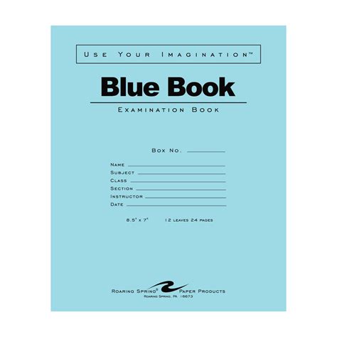 Blue Exam Book, Wide Ruled with Margin, 8.5" x 7", 12 Sheets/24 Pages ...