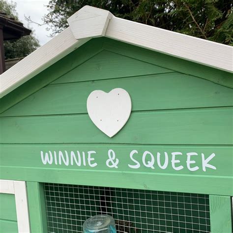 Buy Large Hamster Cage Online In India - Etsy India