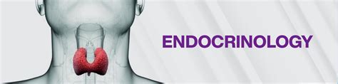 Endocrinology, Diabetes and Metabolism | Geetanjali Hospital