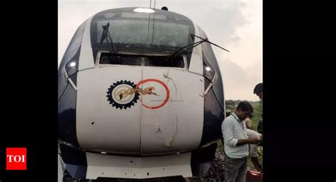 Uprooted tree hits Puri-Howrah Vande Bharat train in Odisha ...