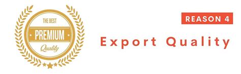 Buy RITUALISTIC Birds of Paradise Wall Plates- Set of 5 |Home Decor ...