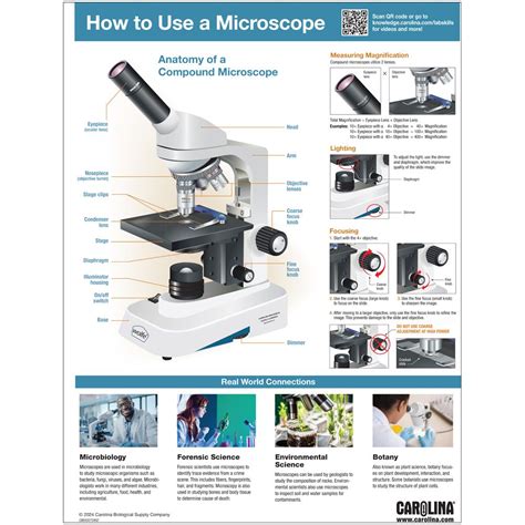 Image result for Microscope Lab