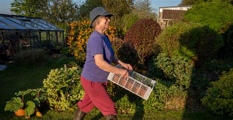 Hobby ideas for seniors