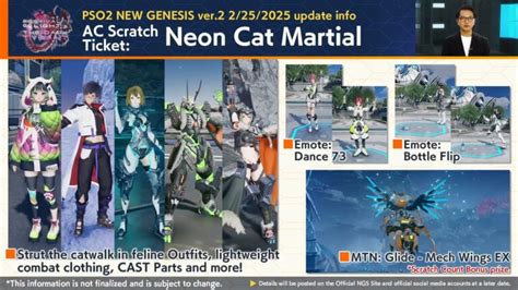 Image result for PSO2 NGS Cats