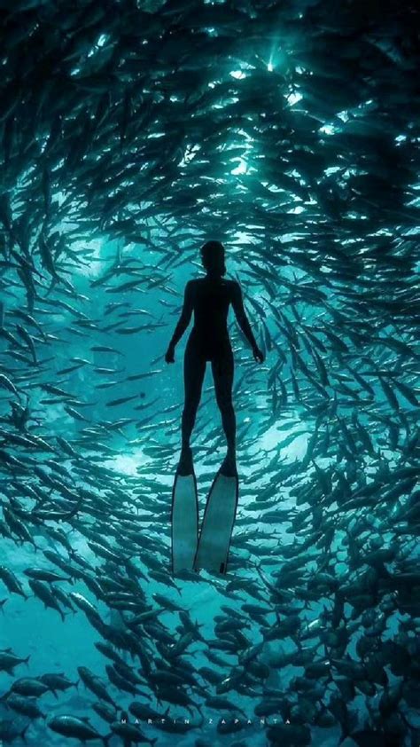 Liveavoard review a high end diving experience in the maldives with scubaspa – Artofit