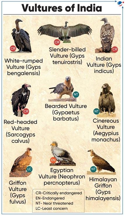 REPORT ON ‘TRADE POLICY TOOLS FOR CLIMATE ACTION’ | Current Affairs ...