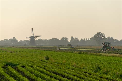 Dutch model for seasonal farm labor: What North America can learn