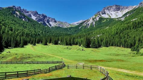 Computer Background 的图像结果