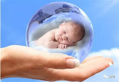 宝宝护理新生婴儿护理常规培训动态PPT模板免费下载_编号z0jcj9x8v_图精灵