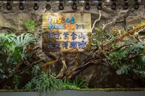 2024南京紫金山昆虫博物馆游玩攻略-门票价格-景点信息_旅泊网