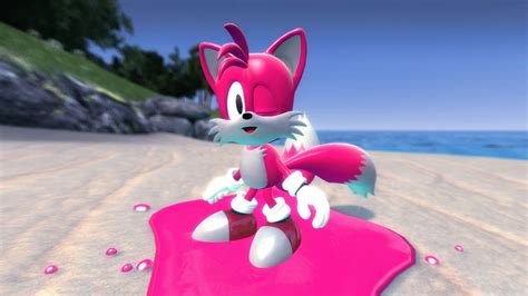 Image result for Pink Spring Tails