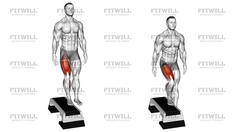 Image result for Lateral Step-Up Exercise Muscles Targeted
