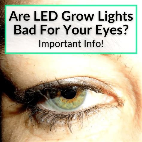 Are Led Lights Bad For Your Bedroom at Jamie Gibb blog