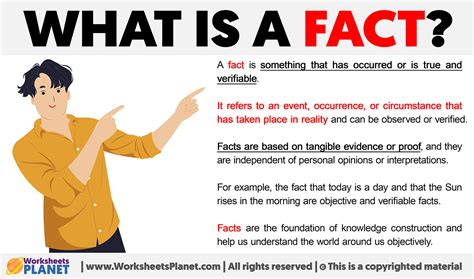 Fact Example 的图像结果