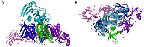 Intracellular Trafficking and Translocation of Pertussis Toxin