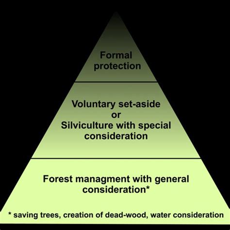 Forestry Model 4 的图像结果