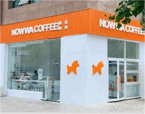 诺瓦咖啡加盟_诺瓦咖啡加盟费要多少钱？加盟电话多少？ - 加盟费查询网