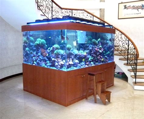 Acrylic-Marine-Reef-Tank | Fish tank, Reef tank, Marine tank